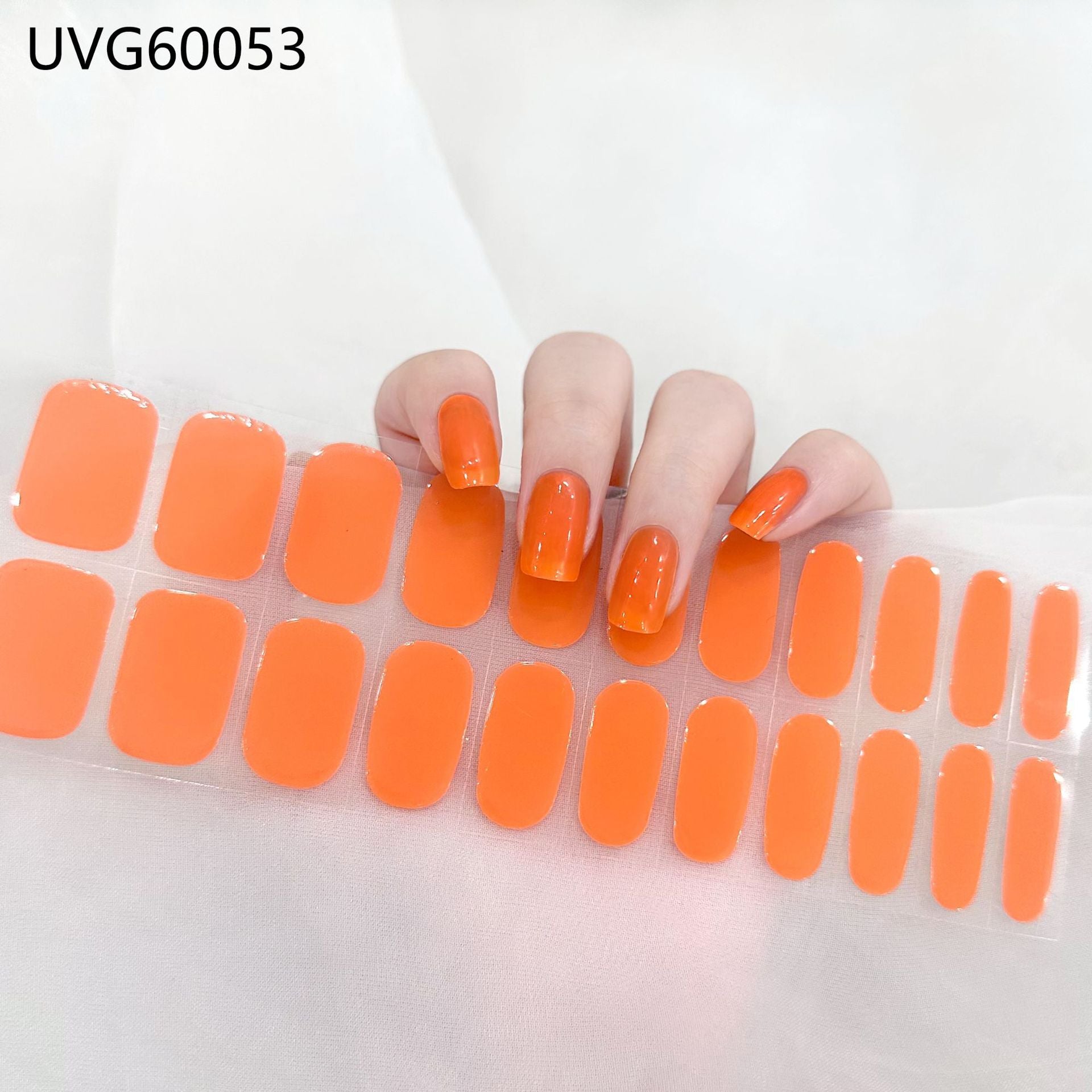 fc6e411b698c6d077ccbc351a5267cc3
